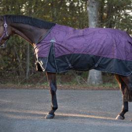 QHP Lightweight Turnout Rug Mystical Purple