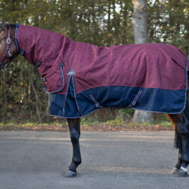 QHP Heavyweight Turnout Rug with Neck