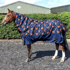 Whitaker ANGUS HIGHLAND COW 170G TURNOUT WITH DETACHABLE HOOD LIMITED EDITION
