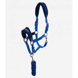 Whitaker Royal Blue Club Head Collar & Lead Rope Set