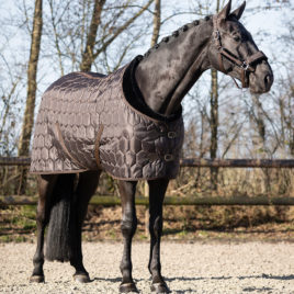 QHP Classy Stable Rug Dark Brown