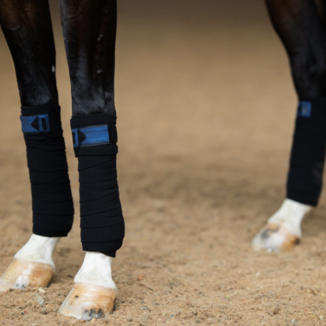equestrian stockholm polar night fleece bandages