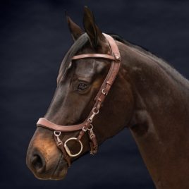 Trial PresTeq Brown FaySport Bridle