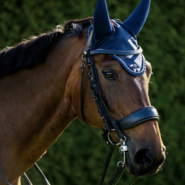 Trial PresTeq FayPerform Weymouth/Double Bridle