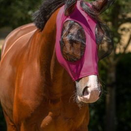 QHP Super Bug Fly Mask