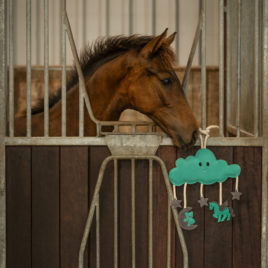 QHP Novy Horse Toy