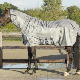 QHP Fly rug with Waterproof Topline