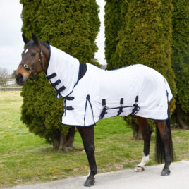 Rhinegold Africa Combo White Fly Rug