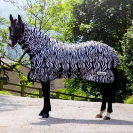 Whitaker Marwell Zebra Fly Rug