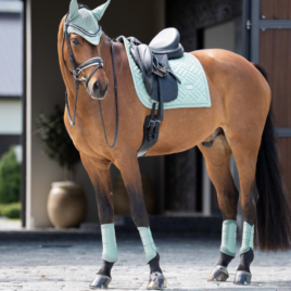 Equestrian Stockholm Mint Dressage Saddle Pad