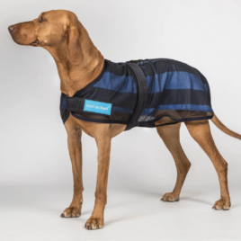 Cool on Track Cooling Dog Coat by Back on Track