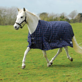 Rhinegold Zeus Heavy weight Outdoor Rug