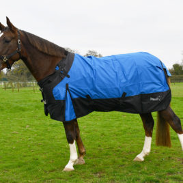 Rhinegold Phoenix Outdoor Rug