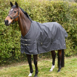 Rhinegold Nevada Lightweight Outdoor Rug