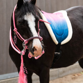 QHP Rosalynn Bareback Pad