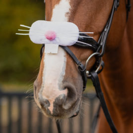 Easter Bunny Nose band accessory