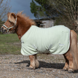 Rhinegold Mini Sorbet Fleece Rug Pistachio Green