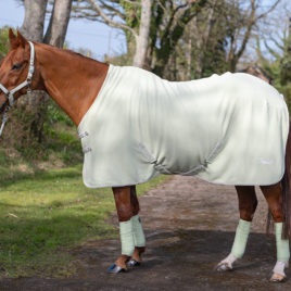 Rhinegold Sorbet Fleece Rug Pistachio Green