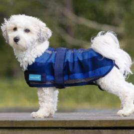 Cool on Track Cooling Dog Coat 2.0 by Back on Track