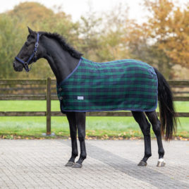 QHP Check Wool Rug