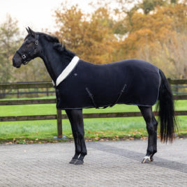 QHP Shine Fleece Rug