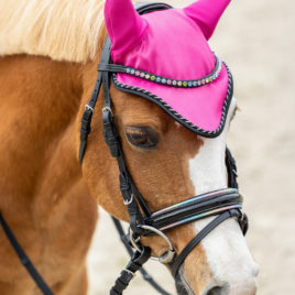 QHP Isalyn Bridle