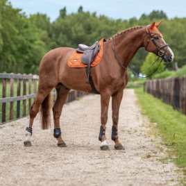 Equestrian Stockholm Chestnut Satin Ear Net