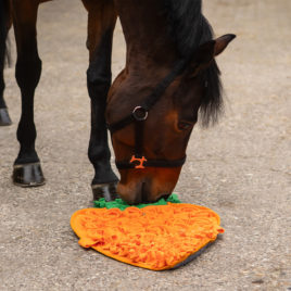 QHP Snuffle Mat