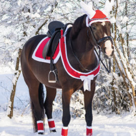 QHP Christmas Breast Strap